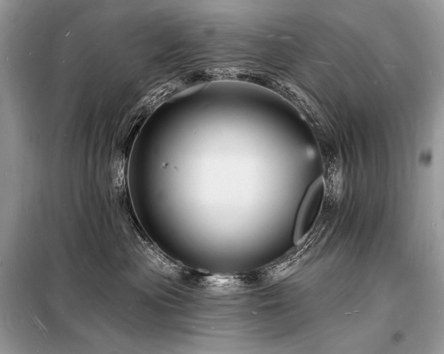 X0000098230477200804241345