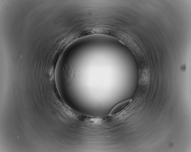X0000098230478200804241345