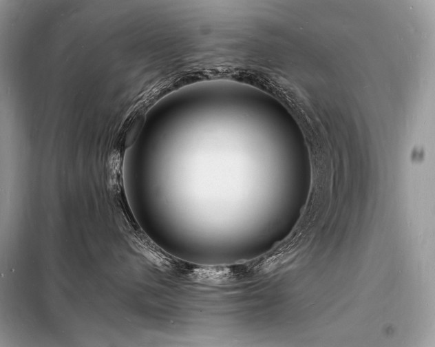 X0000098230480200804241345