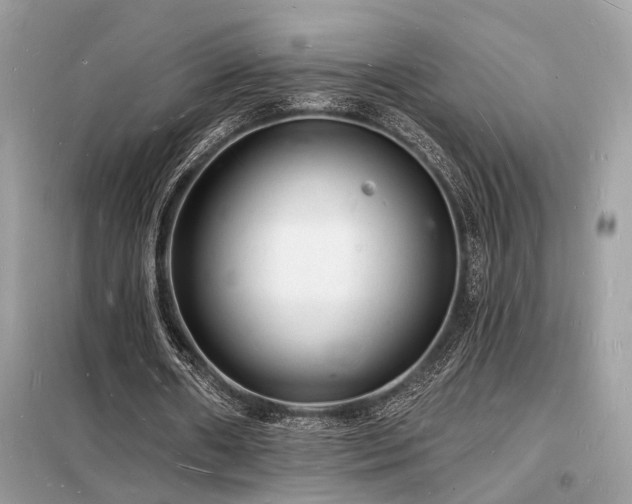 X0000098230482200804241344
