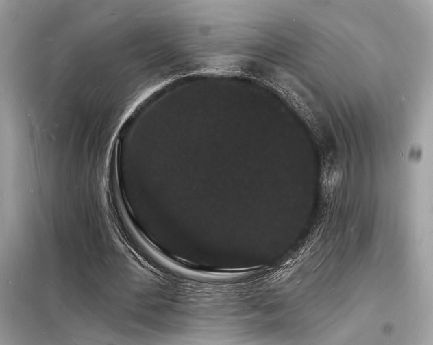 X0000098230484200804241344