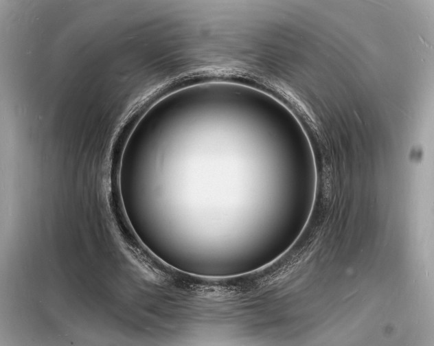 X0000098230486200804241344