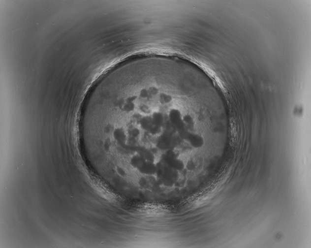 X0000098230487200804241344