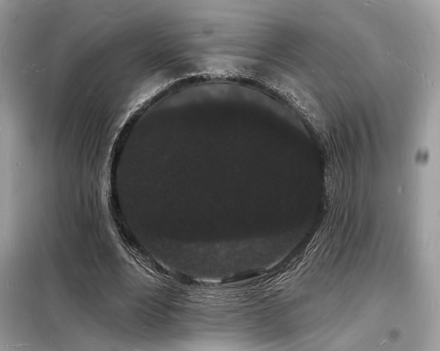 X0000098230488200804241344