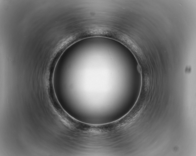 X0000098230490200804241344