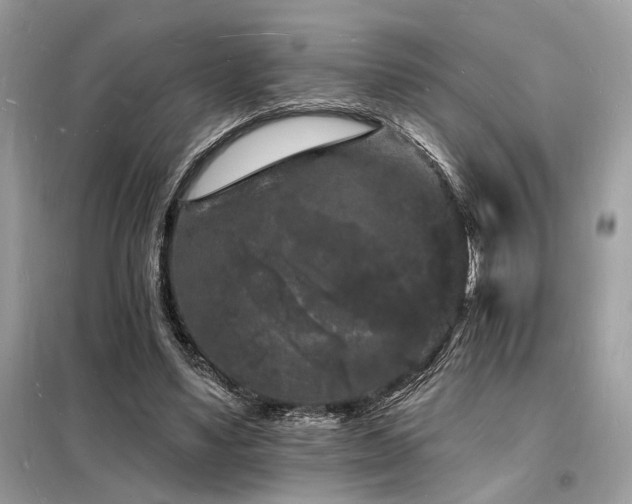 X0000098230491200804241344
