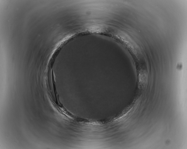 X0000098230492200804241344
