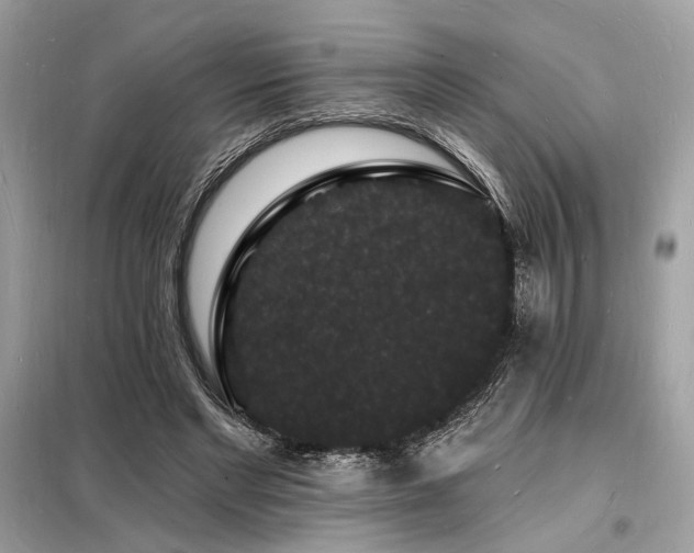 X0000098230493200804241344