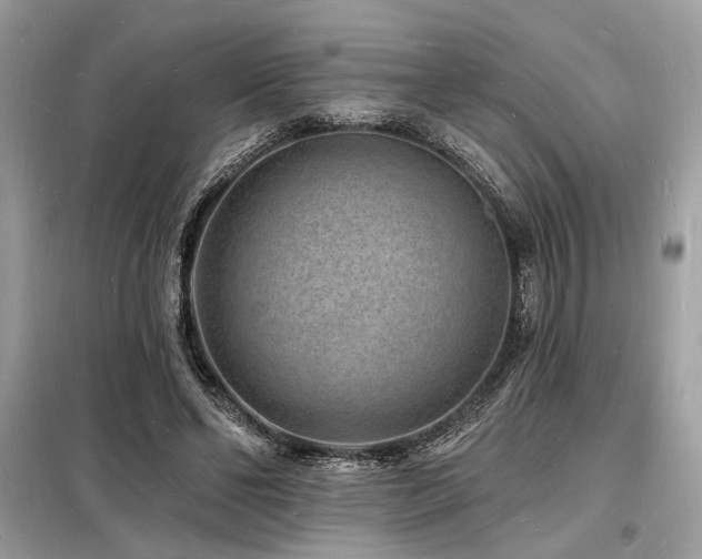 X0000098230494200804241344