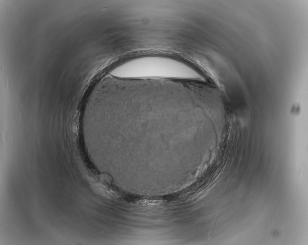 X0000098230495200804241344