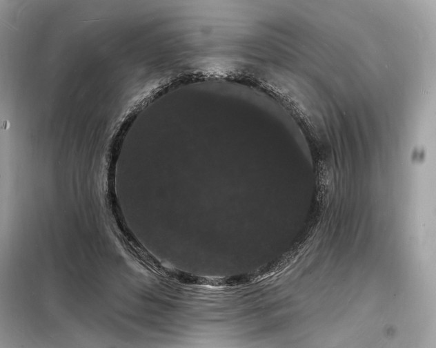 X0000098230496200804241344