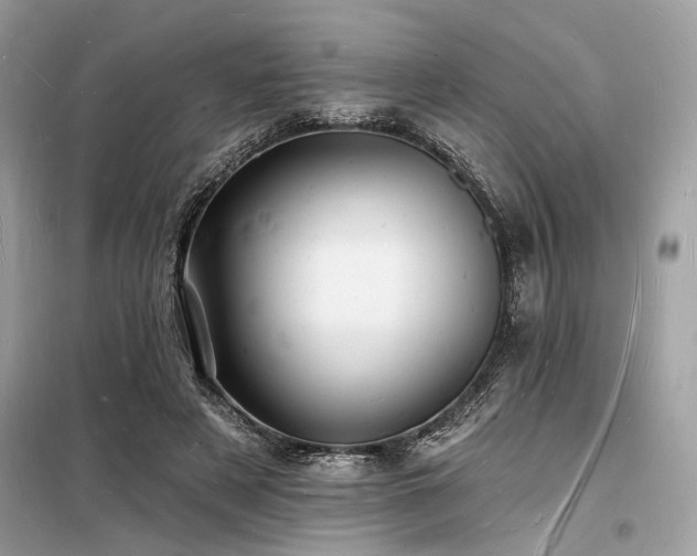 X0000098230497200804241344
