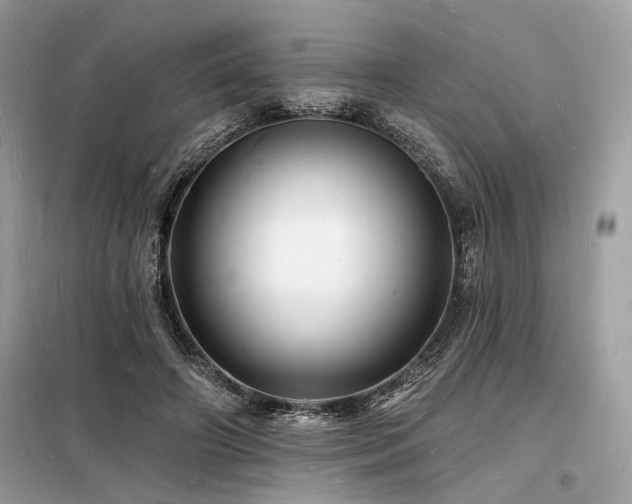 X0000098230498200804241344