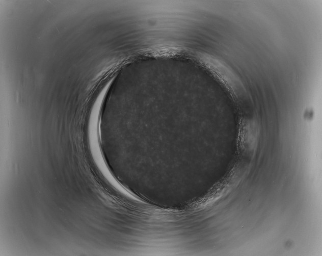 X0000098230501200804241344