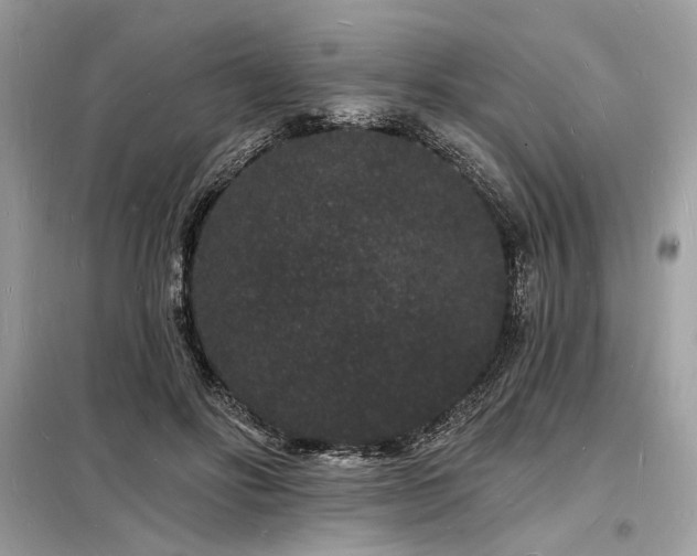 X0000098230502200804241344