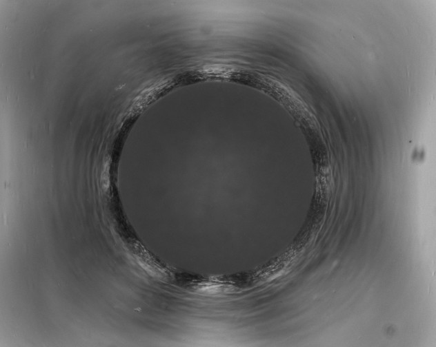 X0000098230504200804241344