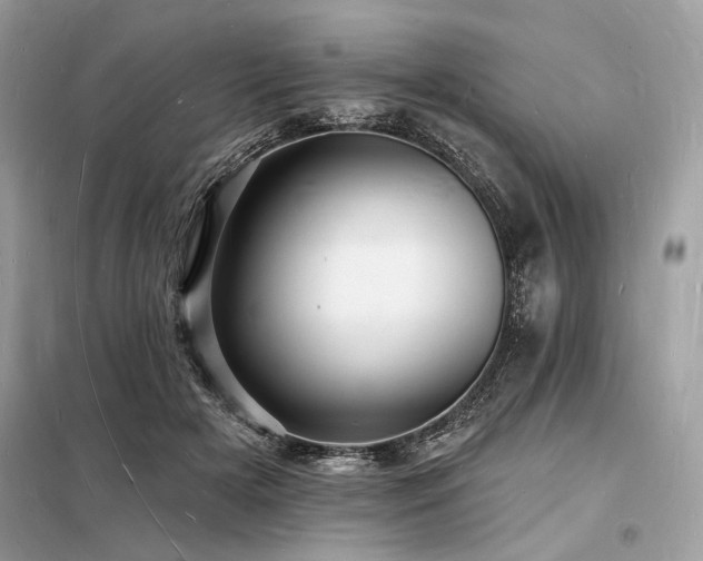X0000098230505200804241344