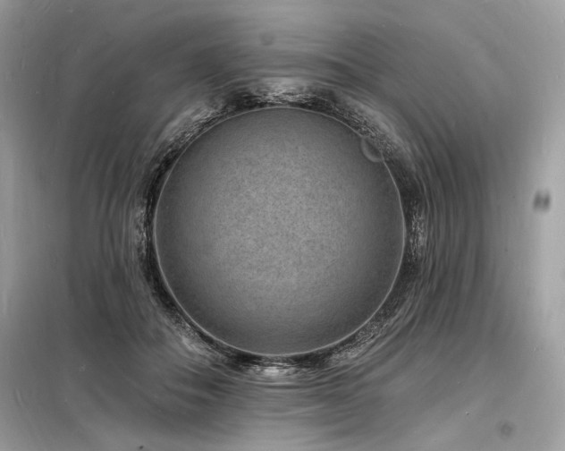 X0000098230506200804241344