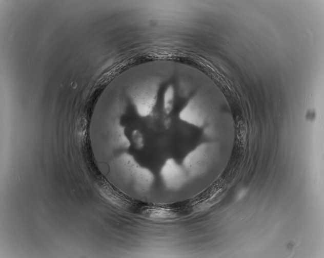 X0000098230507200804241344