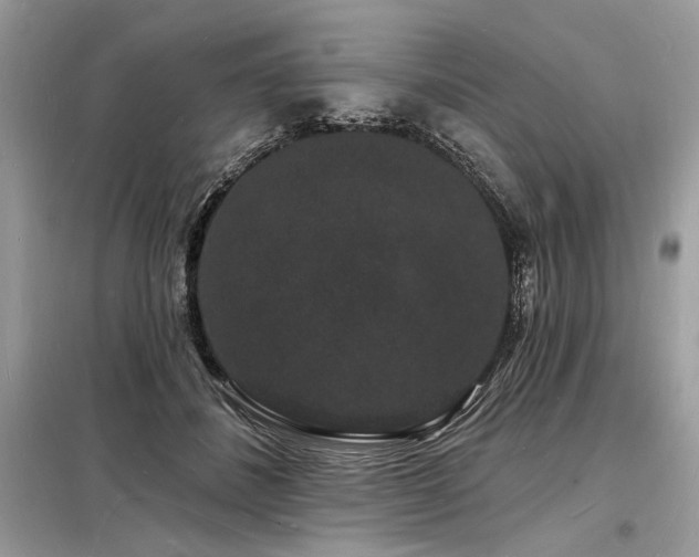 X0000098230508200804241343