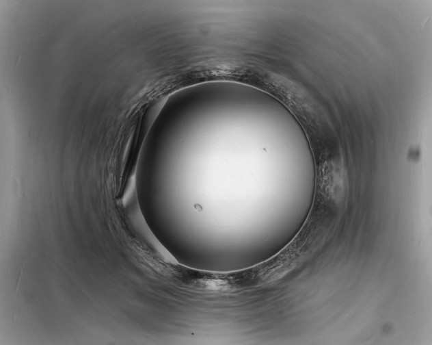 X0000098230509200804241343