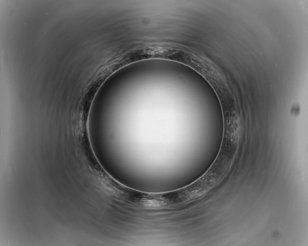X0000098230510200804241343