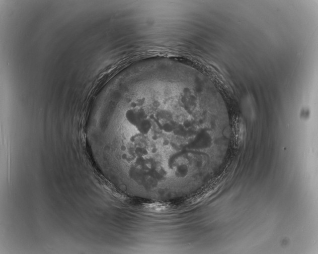 X0000098230511200804241343