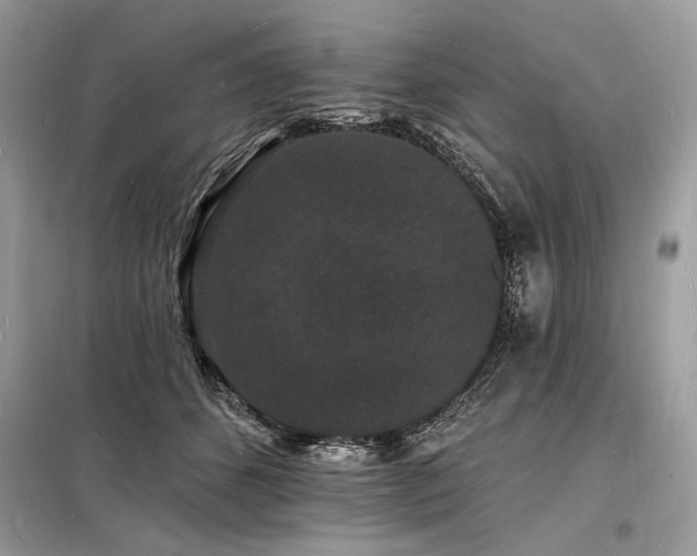 X0000098230512200804241343