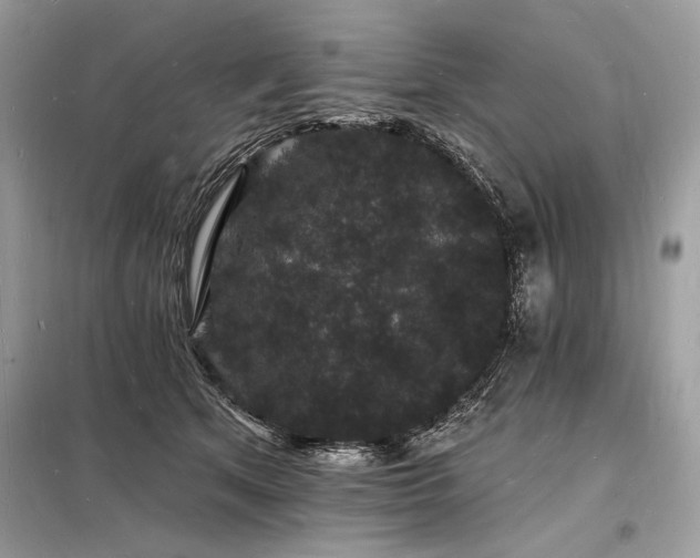 X0000098230513200804241343