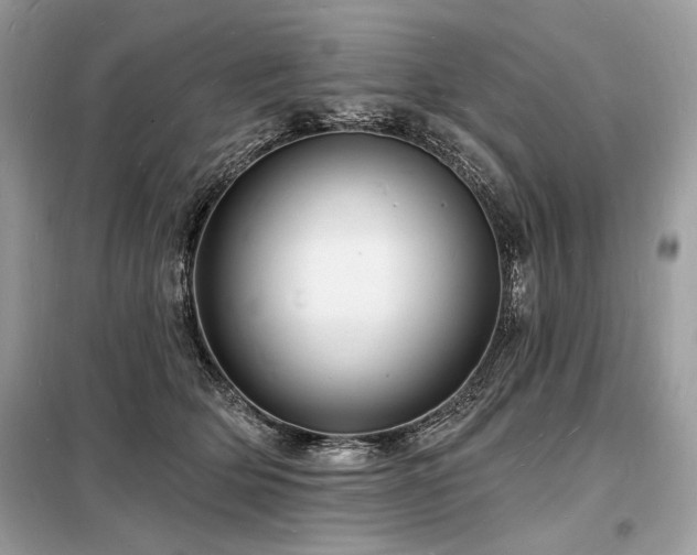 X0000098230514200804241343