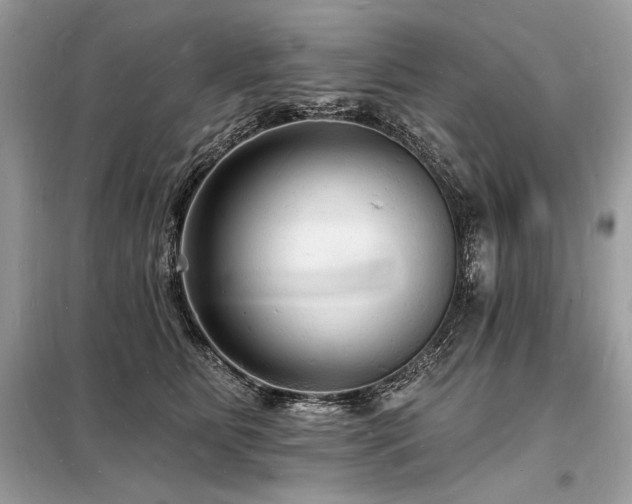 X0000098230515200804241343