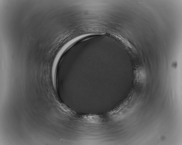 X0000098230517200804241343