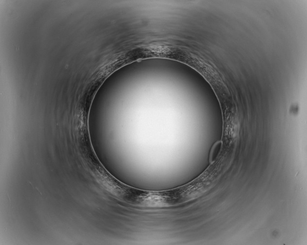 X0000098230518200804241343