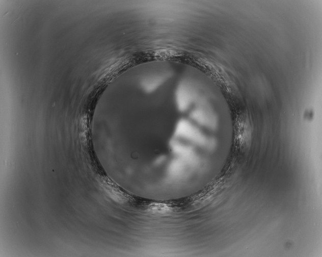 X0000098230519200804241343