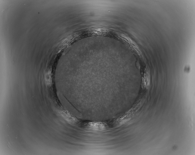 X0000098230520200804241343
