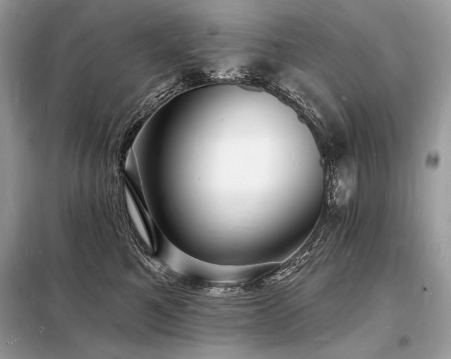 X0000098230521200804241343