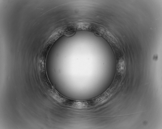 X0000098230522200804241343
