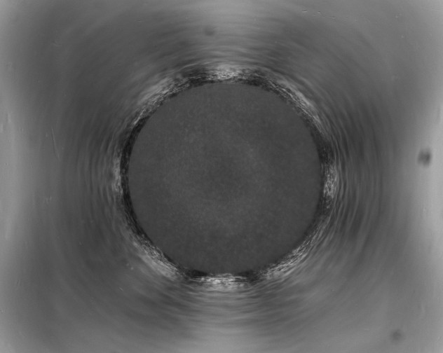 X0000098230524200804241343