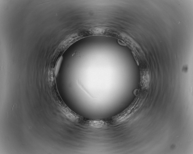 X0000098230525200804241343