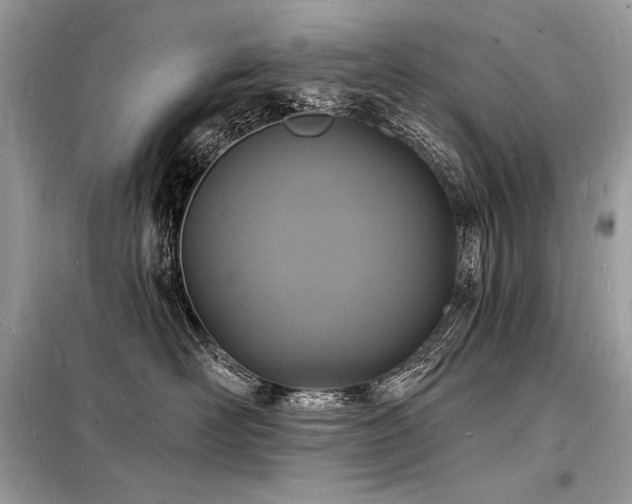 X0000098230526200804241343