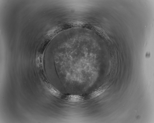 X0000098230528200804241343