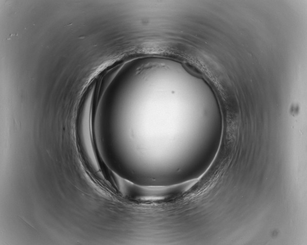 X0000098230530200804241342