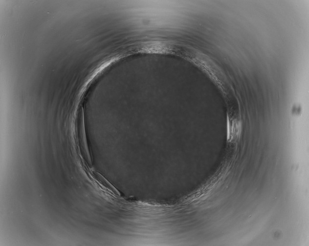 X0000098230531200804241342