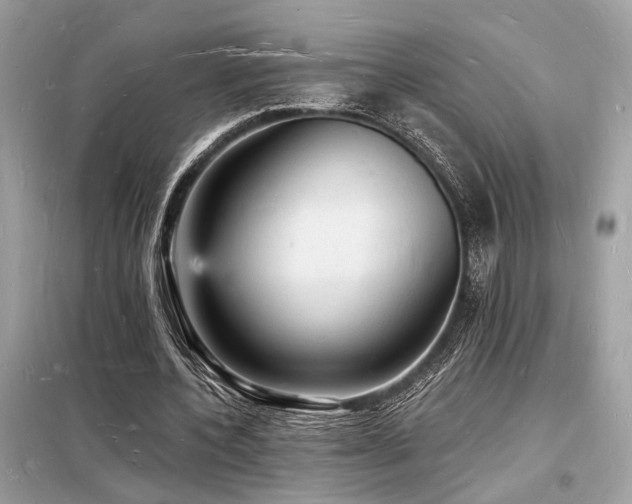 X0000098230532200804241342