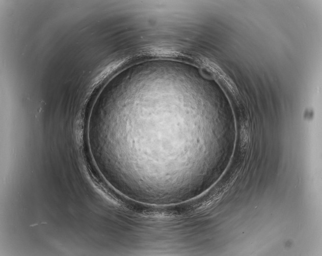 X0000098230533200804241342