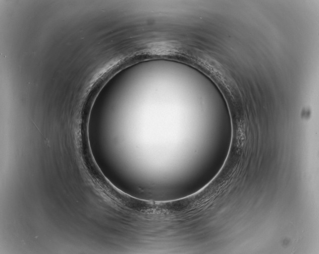 X0000098230535200804241342