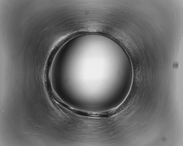 X0000098230536200804241342