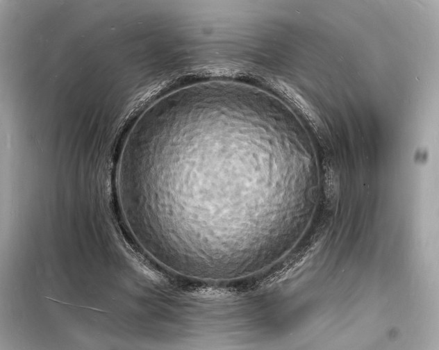 X0000098230537200804241342