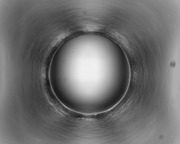 X0000098230539200804241342