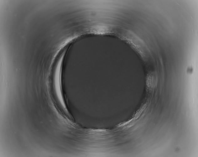 X0000098230540200804241342